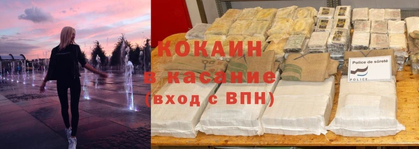прущие грибы Алзамай