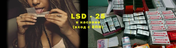 прущие грибы Алзамай
