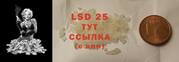 прущие грибы Алзамай
