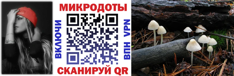 Галлюциногенные грибы Psilocybine cubensis  Оленегорск 